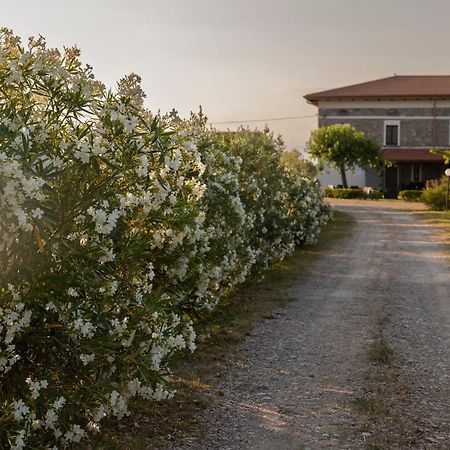 AlbanellaAgri Charme Tenuta Picilli别墅 外观 照片