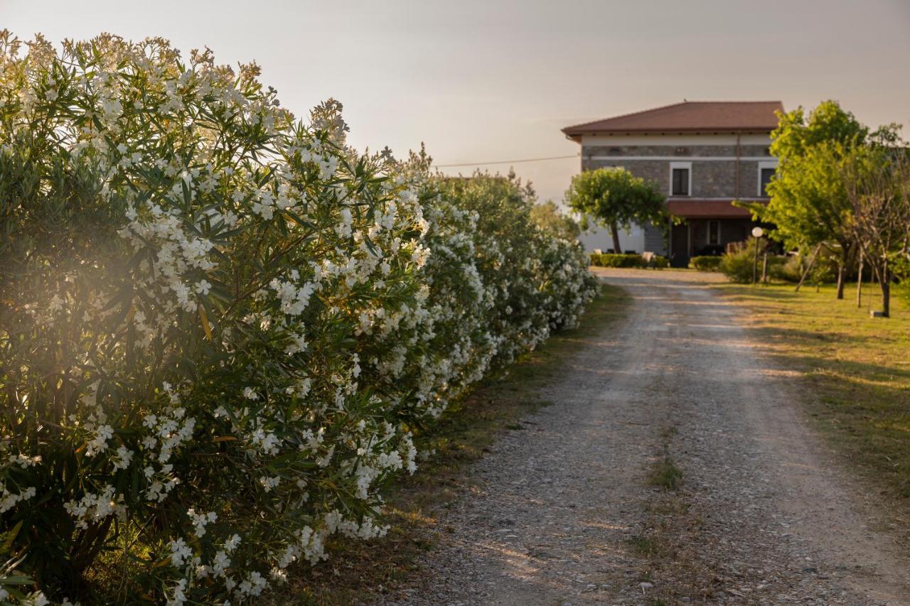 AlbanellaAgri Charme Tenuta Picilli别墅 外观 照片